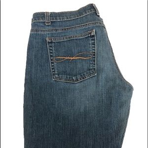 The Limited Women’s Jeans Size 10 Regular